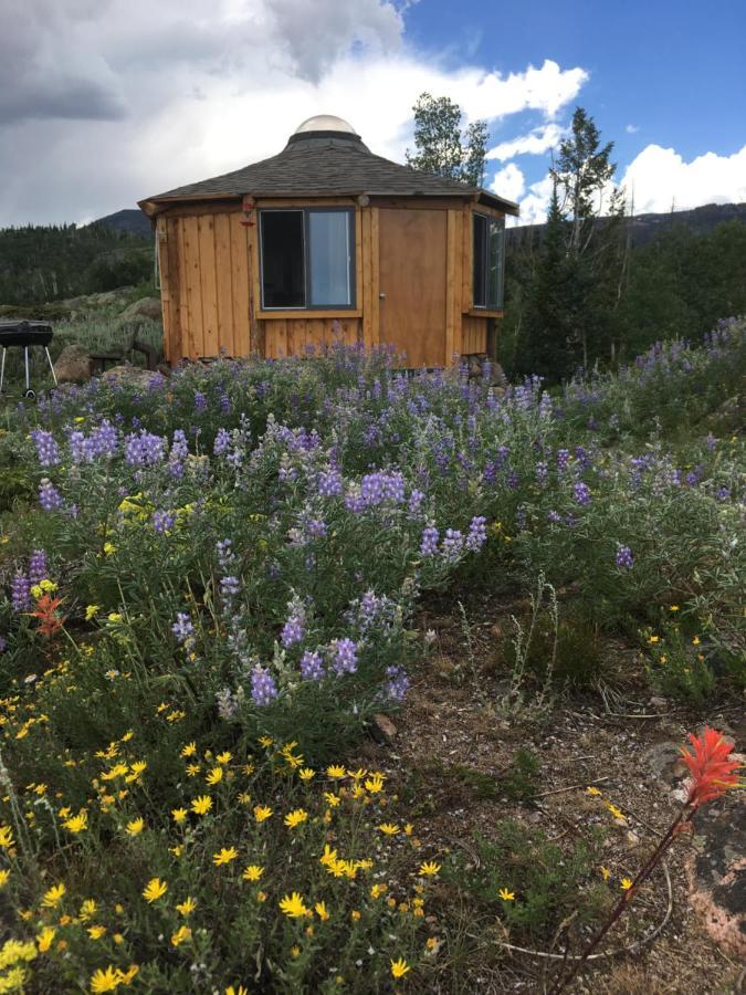 Red-Tail Roundhouse At 22 West Cabins And Recreation Hebron Exterior photo